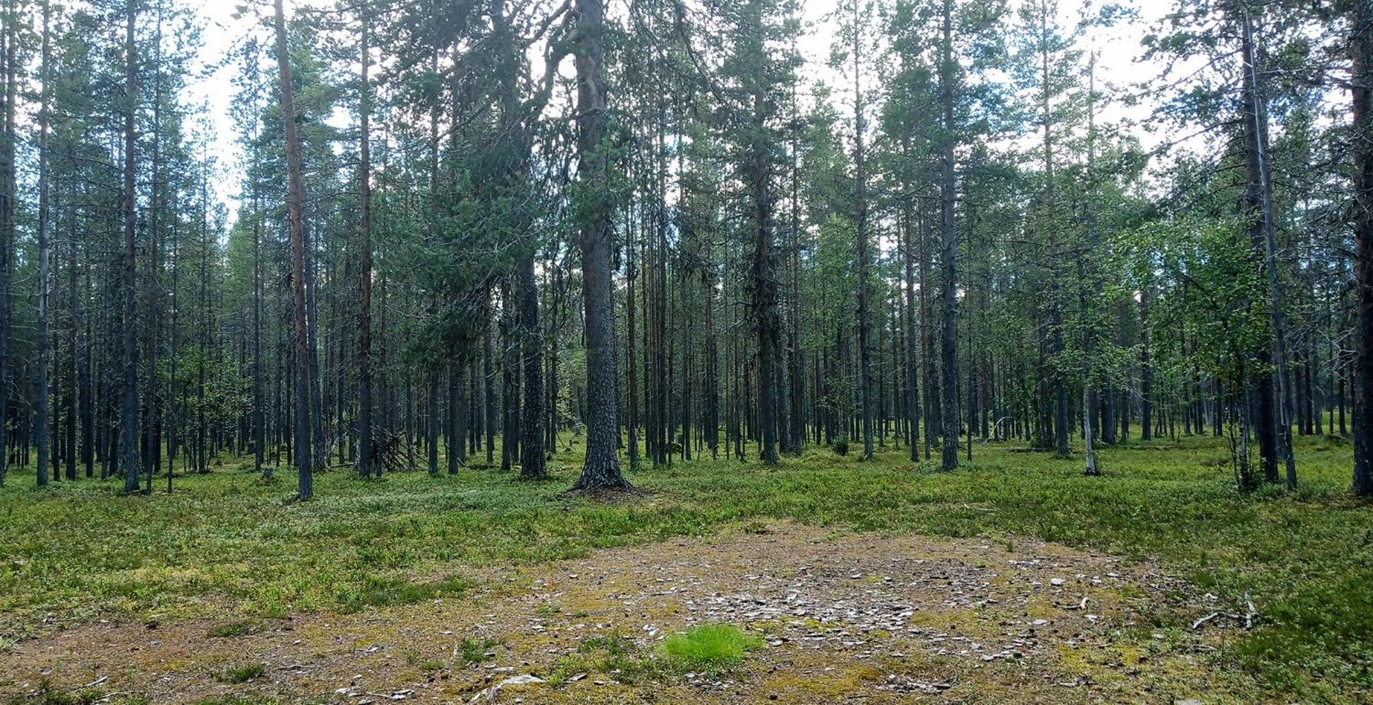 Kuukkeli Apartments Vuotso Екстериор снимка